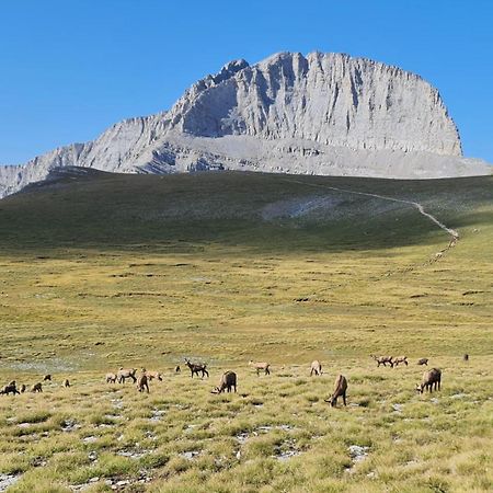 Apartmán Αθηνα A7 Kateríni Exteriér fotografie